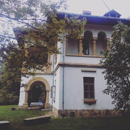 Coleckia Golescu