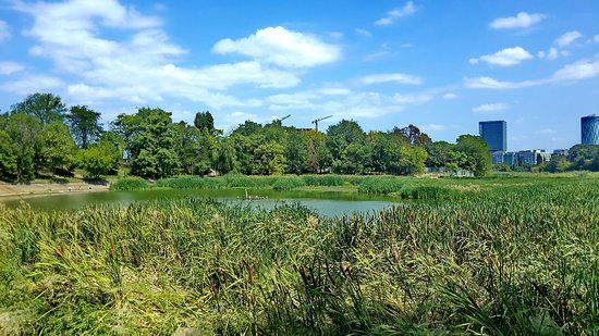 Parcul Regele Mihai I al României