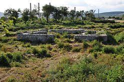 Castrul roman Buridava