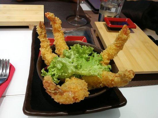 Sushi Terra