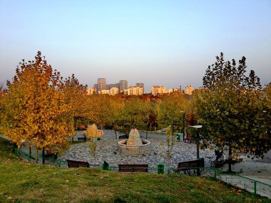 Parcul Regele Mihai I al României