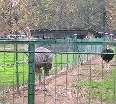 Grădina Zoologică