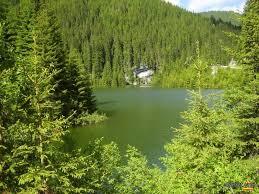 Lacul Galbenu
